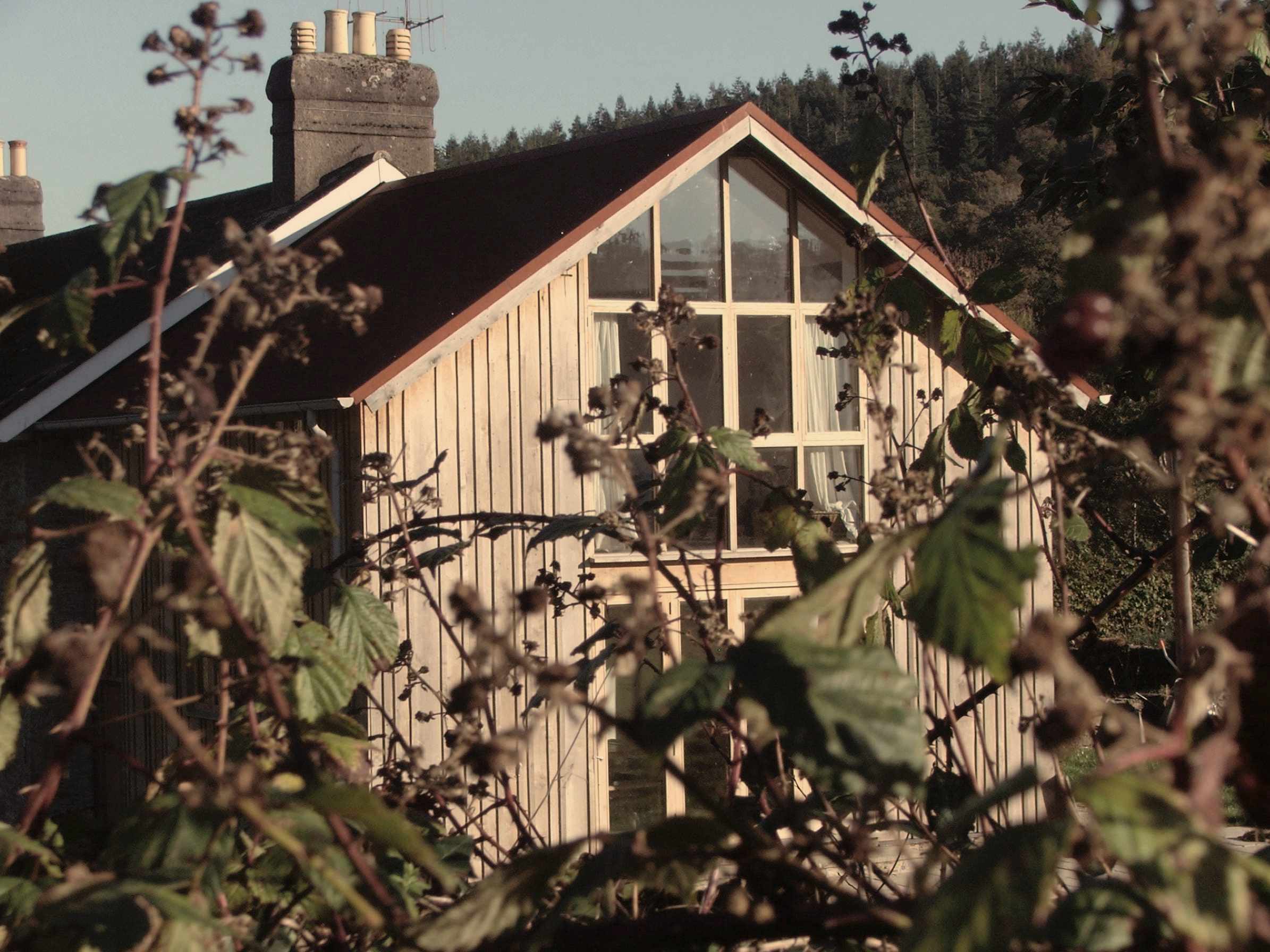 Farmhouse through foliage