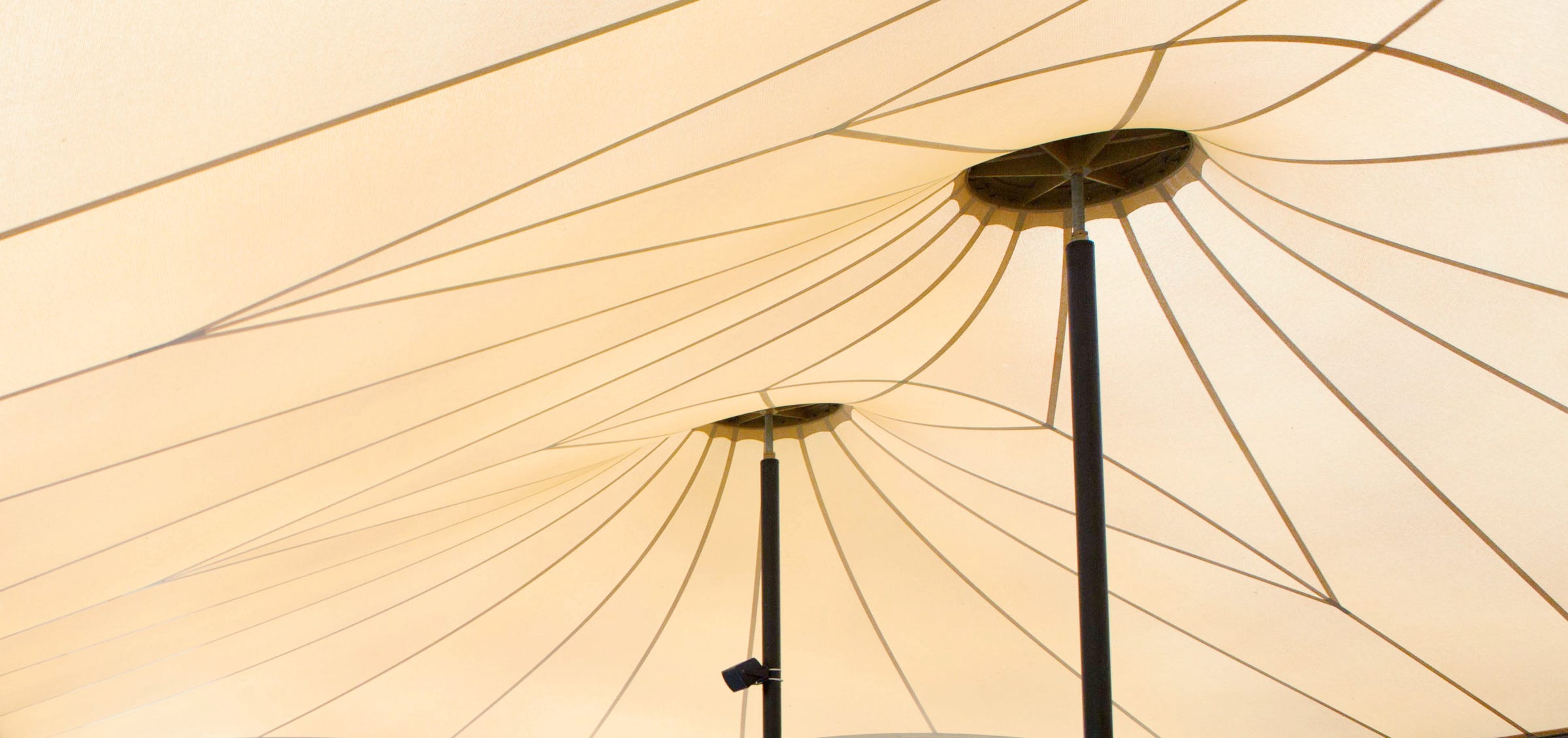 Tiger Territory canopy